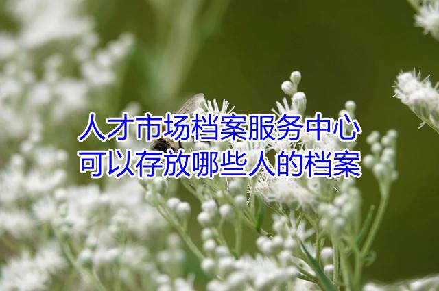 人才市场档案服务中心可以存放哪些人的档案