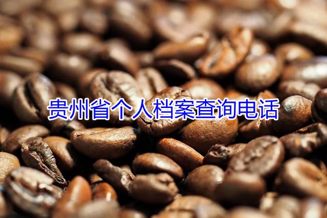 贵州省个人档案查询电话