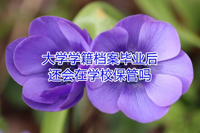 大学学籍档案毕业后还会在学校保管吗