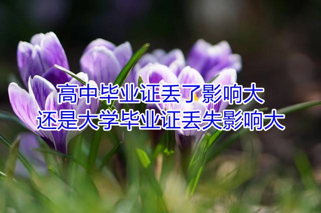 高中毕业证丢了影响大还是大学毕业证丢失影响大