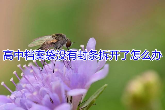 高中档案袋没有封条拆开了怎么办