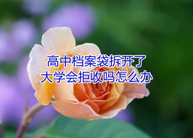高中档案袋拆开了大学会拒收吗怎么办