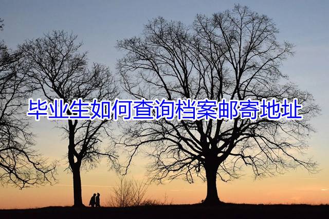 毕业生如何查询档案邮寄地址