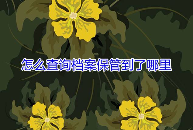 怎么查询档案保管到了哪里