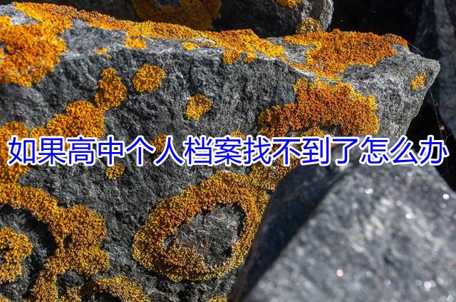 如果高中个人档案找不到了怎么办