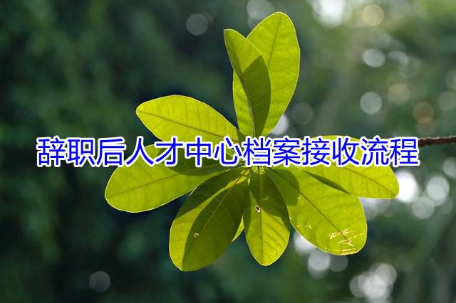 辞职后人才中心档案接收流程