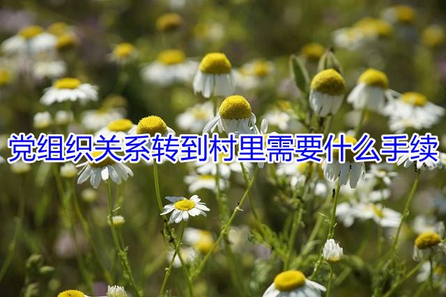 党组织关系转到村里需要什么手续