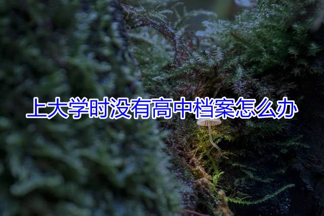 上大学时没有高中档案怎么办