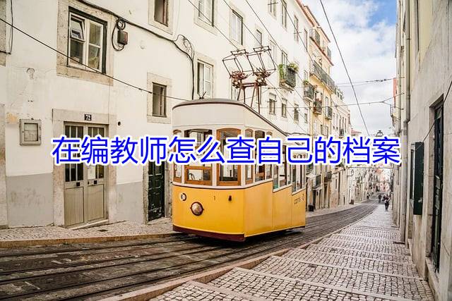在编教师怎么查自己的档案