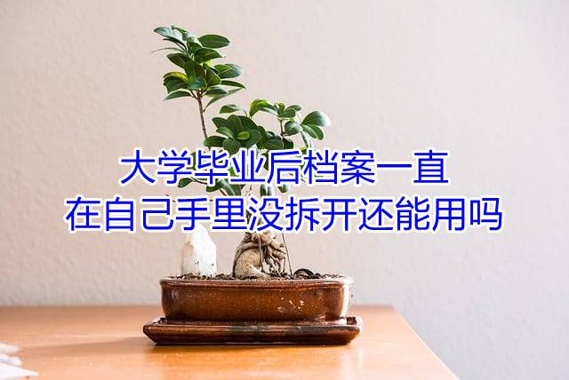 大学毕业后档案一直在自己手里没拆开还能用吗