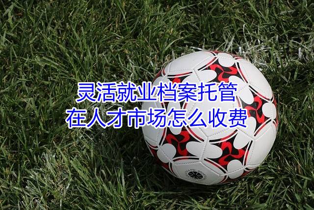 灵活就业档案托管在人才市场怎么收费