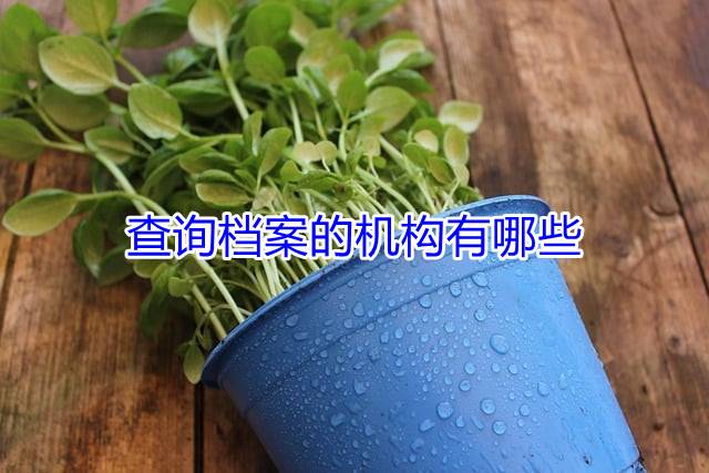 查询档案的机构有哪些
