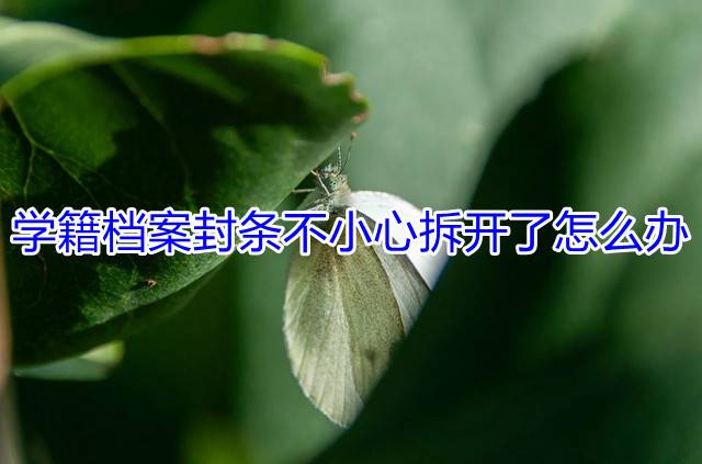 学籍档案封条不小心拆开了怎么办