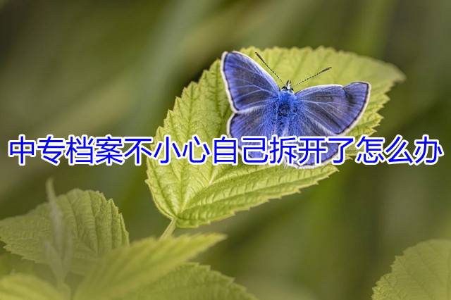 中专档案不小心自己拆开了怎么办