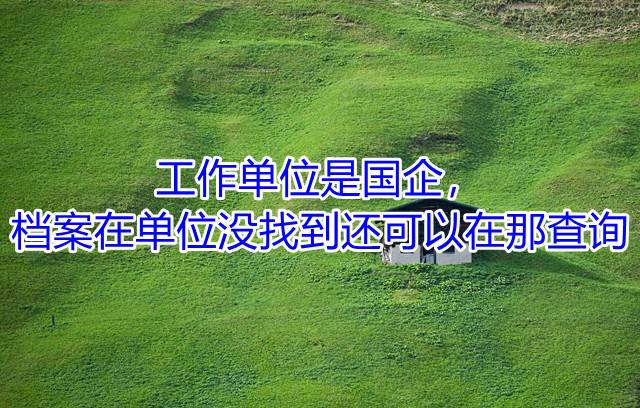 工作单位是国企，档案在单位没找到还可以在那查询