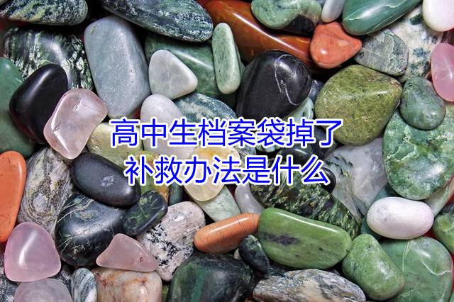 高中生档案袋掉了了补救办法是什么