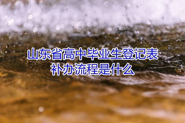 山东省高中毕业生登记表补办流程是什么