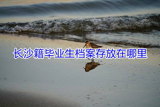 长沙籍毕业生档案存放在哪里