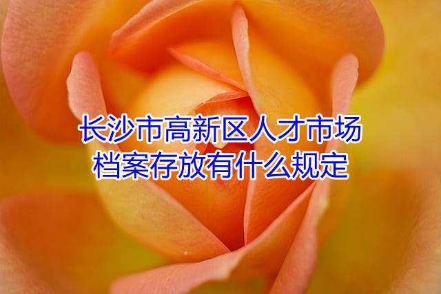 长沙市高新区人才市场档案存放有什么规定