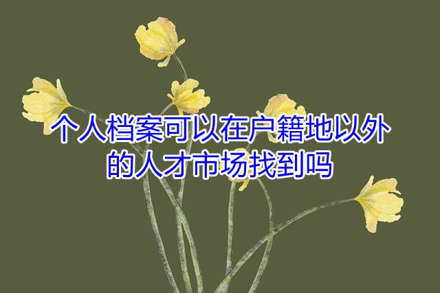 个人档案可以在户籍地意外的人才市场找到吗