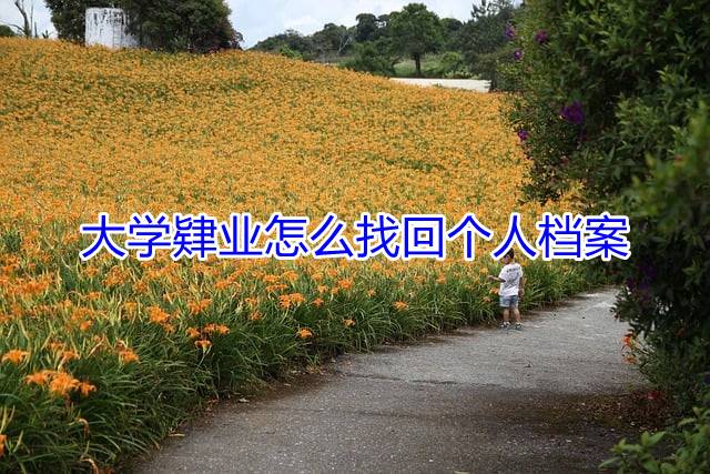 大学肄业怎么找回个人档案