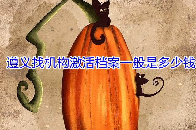 遵义找机构激活档案一般是多少钱