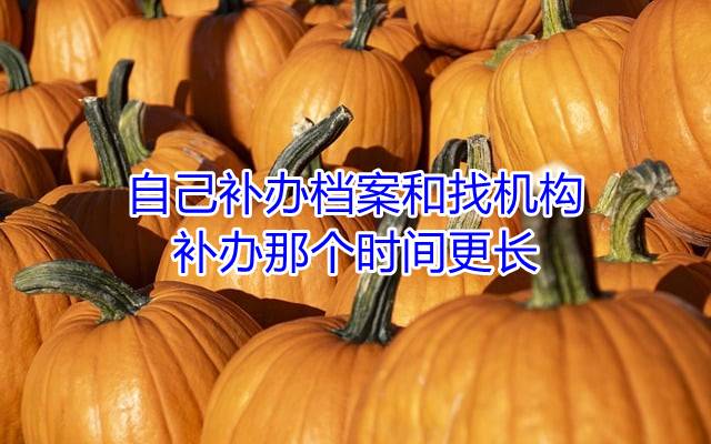 自己补办档案和找机构补办那个时间更长