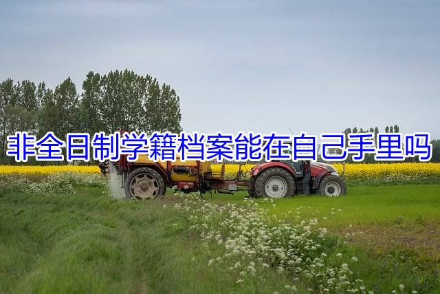 非全日制学籍档案能在自己手里吗