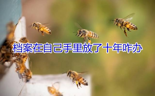 档案在自己手里放了十年咋办