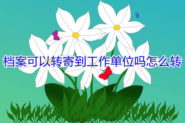 档案可以转寄到工作单位吗怎么转