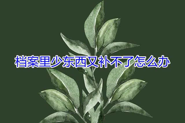 档案里少东西又补不了怎么办