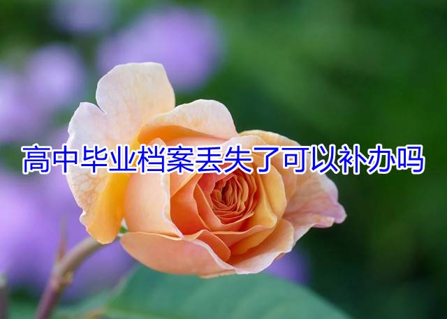 高中毕业档案丢失了可以补办吗