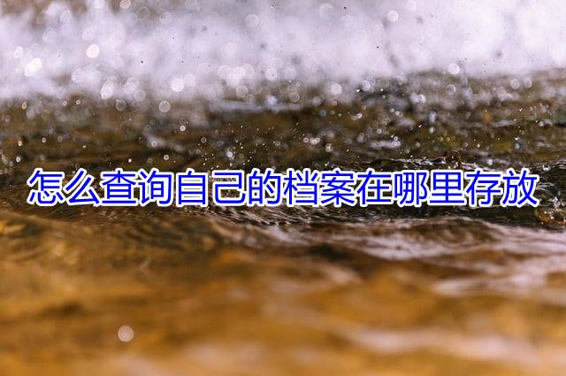 怎么查询自己的档案在哪里存放