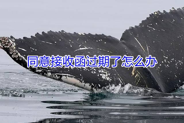 同意接收函过期了怎么办