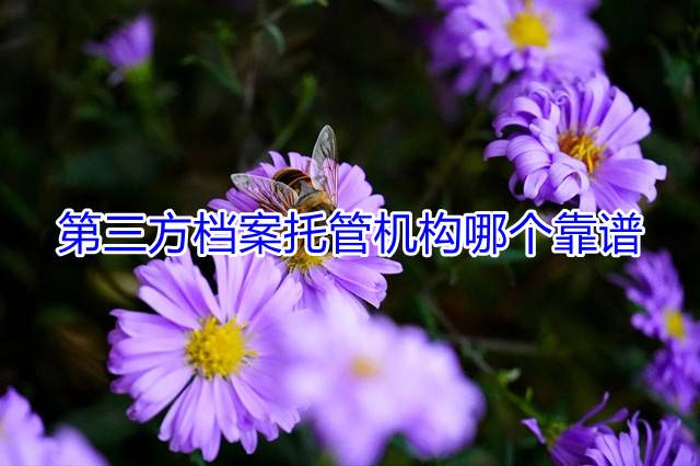 第三方档案托管机构哪个靠谱