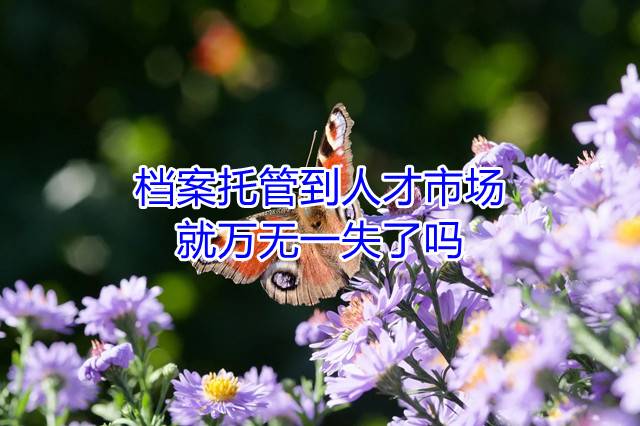 档案托管到人才市场就万无一失了吗
