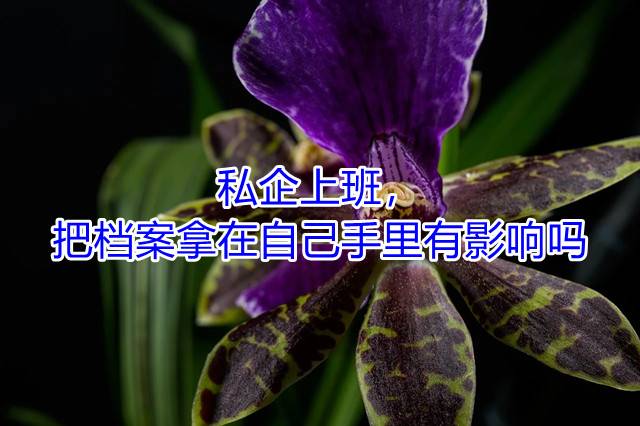 私企上班，把档案拿在自己手里有影响吗