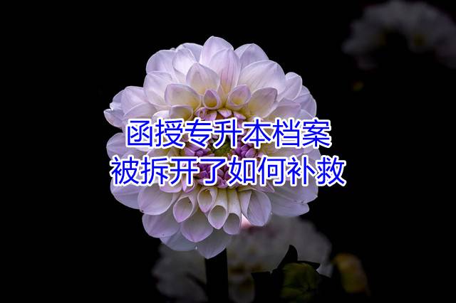 函授专升本档案被拆开了如何补救