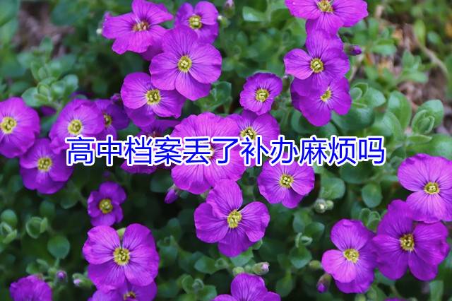 高中档案丢了补办麻烦吗