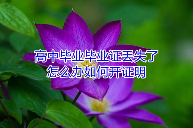 高中毕业毕业证丢失了怎么办如何开证明