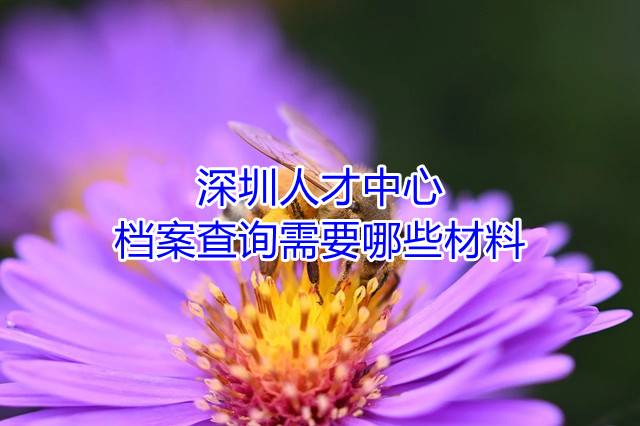 深圳人才中心档案查询需要哪些材料