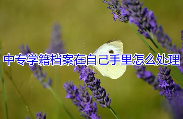 中专学籍档案在自己手里怎么处理
