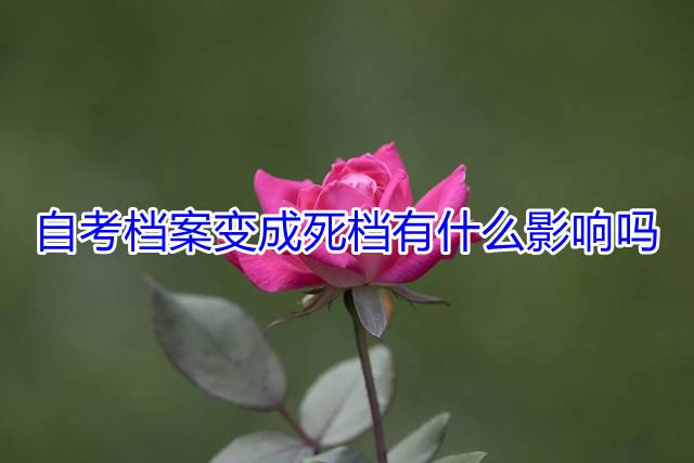 自考档案变成死档有什么影响吗