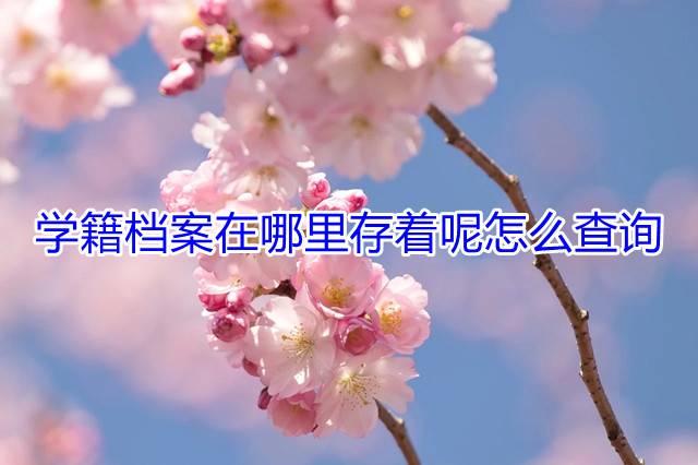 学籍档案在哪里存着呢怎么查询