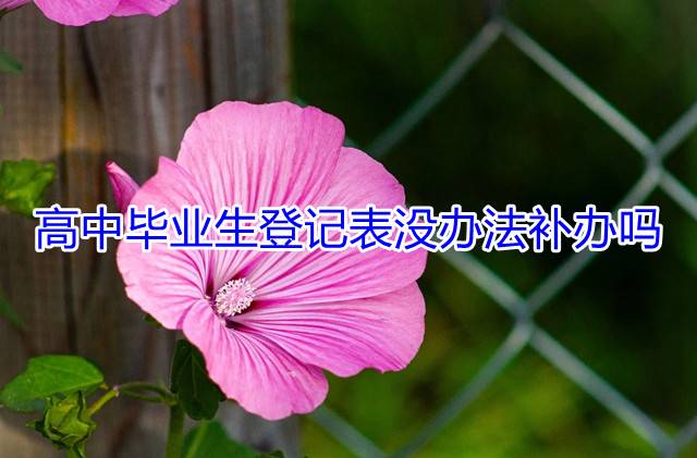 高中毕业生登记表没办法补办吗