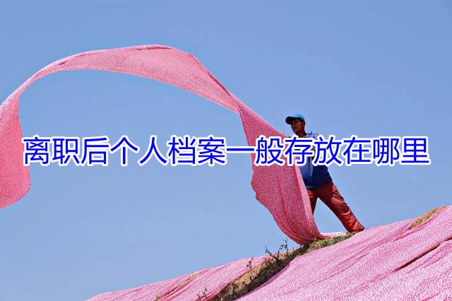 离职后个人档案一般存放在哪里