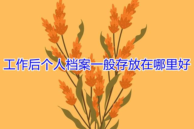 工作后个人档案一般存放在哪里好