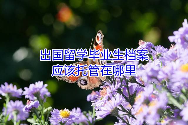 出国留学毕业生档案应该托管在哪里
