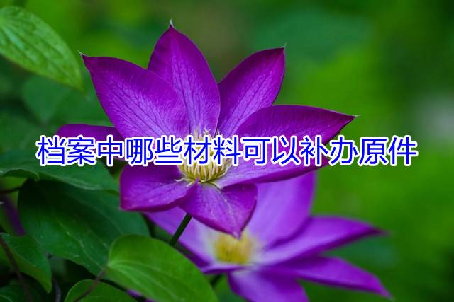 档案中哪些材料可以补办原件