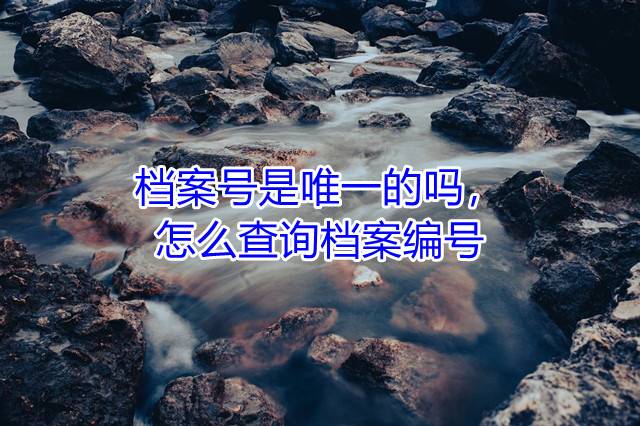 档案号是唯一的吗，怎么查询档案编号